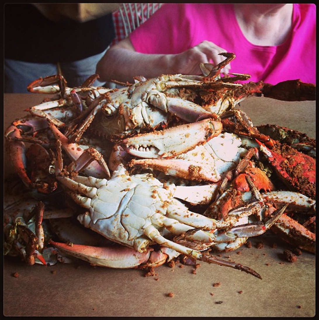 Chesapeake Crab and Beer Festival 2014 - Marney Kirk - Maryland Real ...